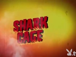 Badass filles swam avec shark en la cage